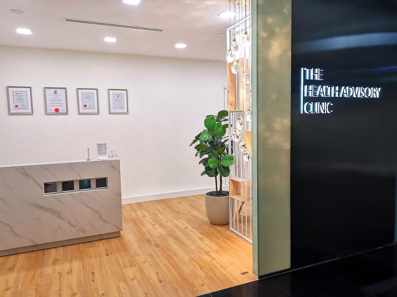 The Health Advisory Clinic